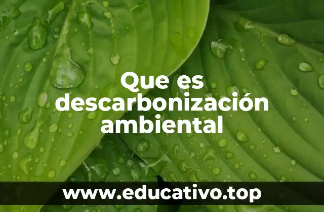 El camino hacia una economía baja en carbono