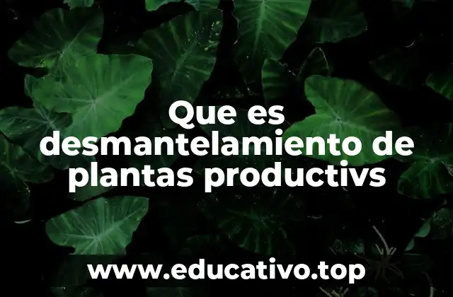 Que es desmantelamiento de plantas productivs