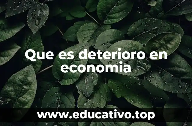 Que es deterioro en economia
