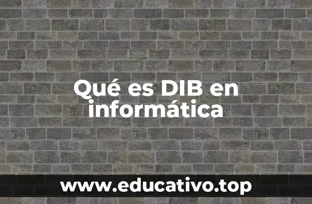Qué es DIB en informática