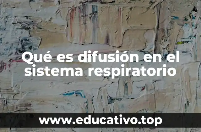 Qué es difusión en el sistema respiratorio