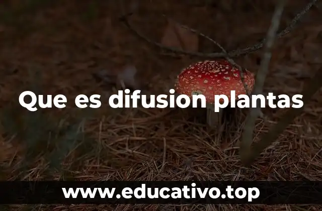 Que es difusion plantas