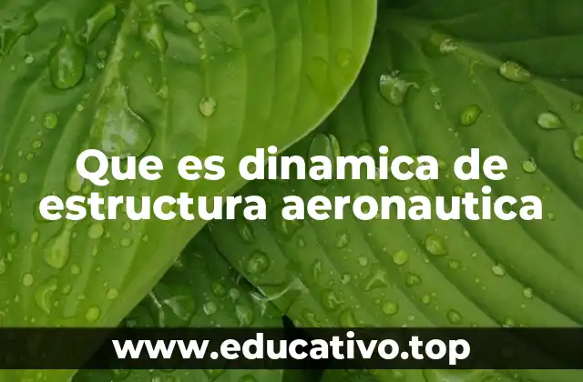 Que es dinamica de estructura aeronautica