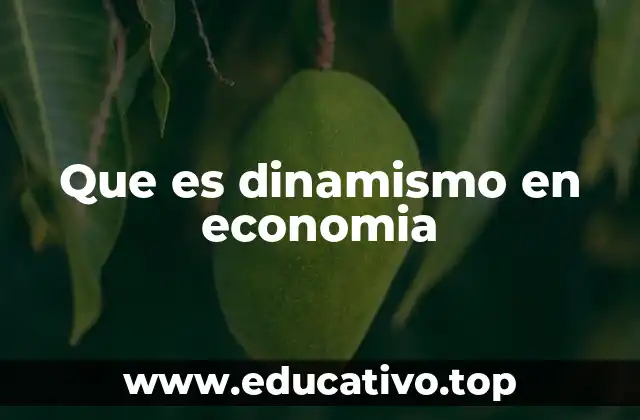 Cómo se manifiesta el dinamismo económico en el desarrollo nacional
