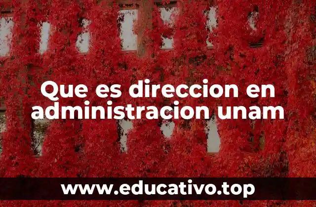 Que es direccion en administracion unam