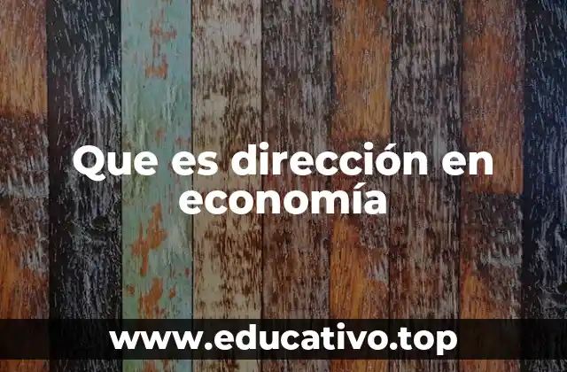 Que es dirección en economía