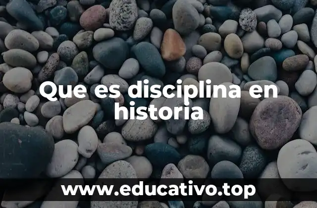 Que es disciplina en historia