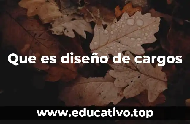 Que es diseño de cargos