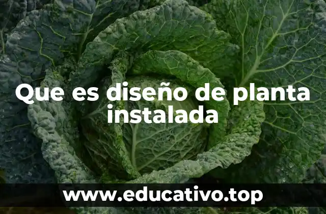 Que es diseño de planta instalada