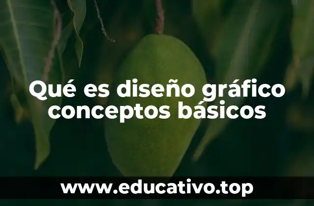 Qué es diseño gráfico conceptos básicos