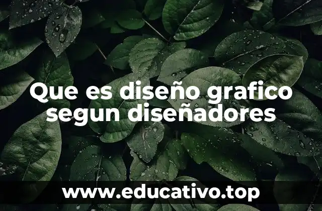 La visión profesional del diseño gráfico