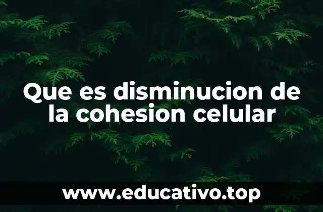 Que es disminucion de la cohesion celular