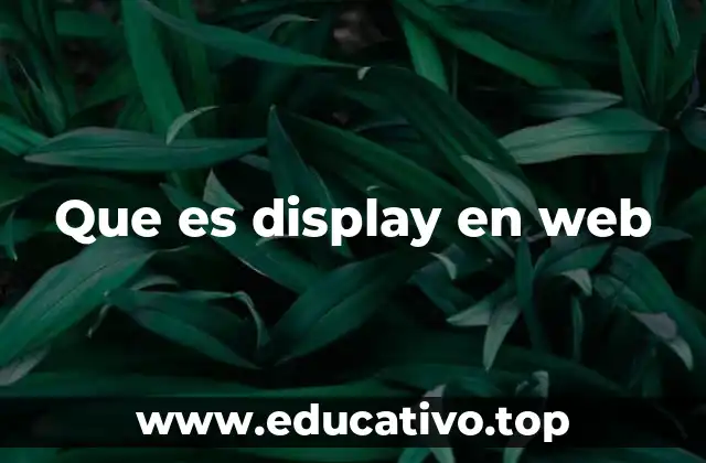 Que es display en web
