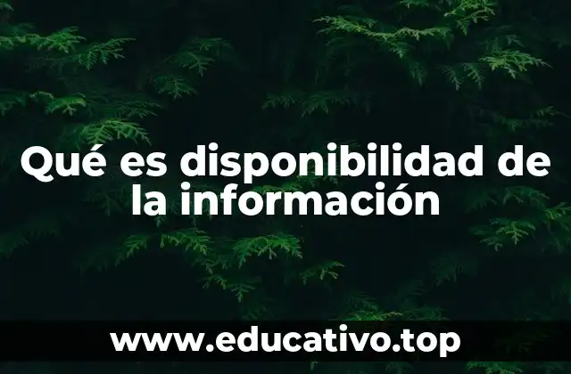 Qué es disponibilidad de la información