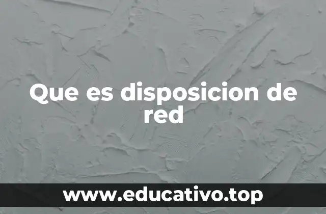 Que es disposicion de red