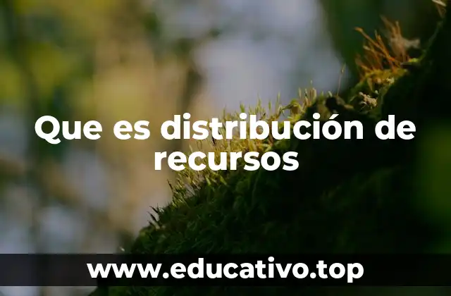Que es distribución de recursos