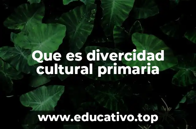 Que es divercidad cultural primaria