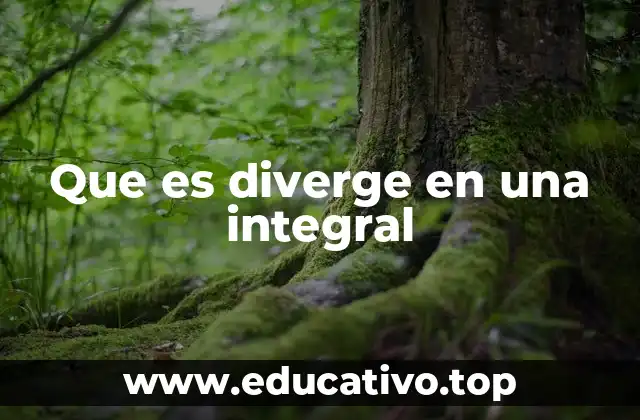 Comportamiento de funciones en integrales impropias