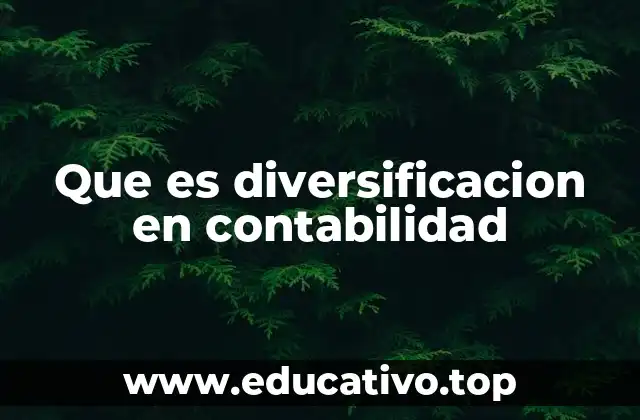 Que es diversificacion en contabilidad