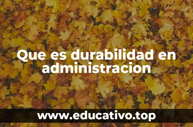 Que es durabilidad en administracion