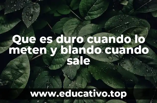 Que es duro cuando lo meten y blando cuando sale