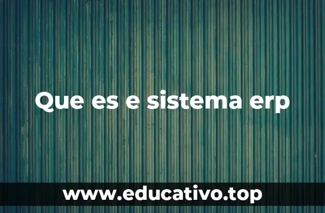 Que es e sistema erp