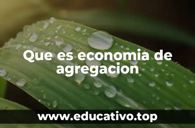 Que es economia de agregacion
