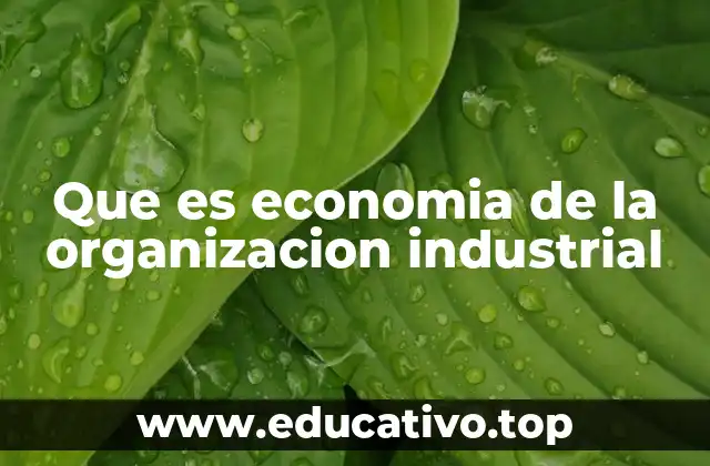 Que es economia de la organizacion industrial