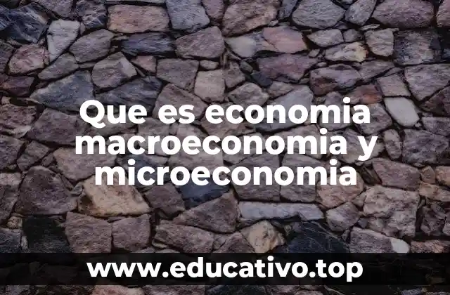 Que es economia macroeconomia y microeconomia
