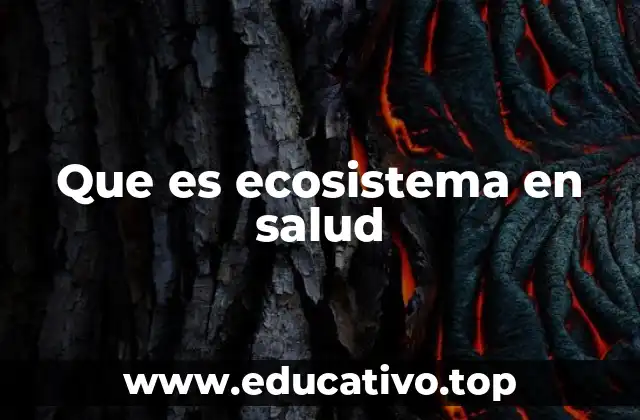Que es ecosistema en salud