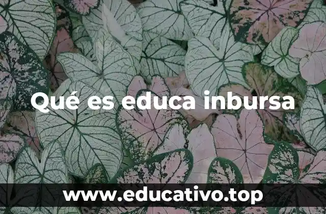 Qué es educa inbursa