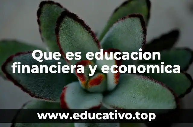 Que es educacion financiera y economica