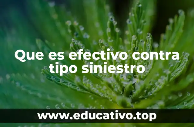 Cómo identificar lo que resulta útil frente a un siniestro