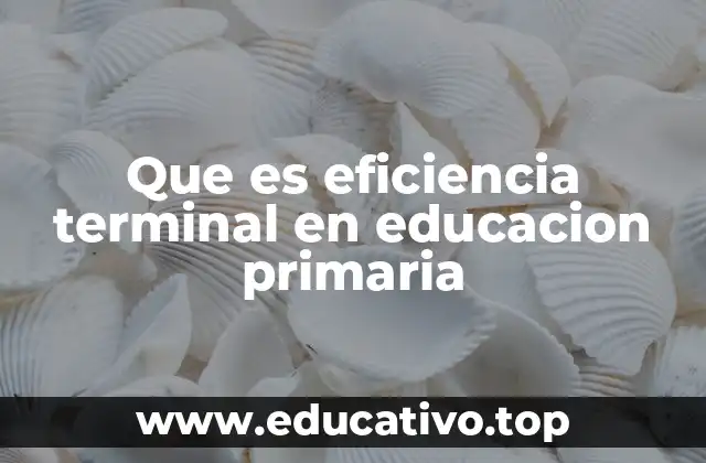 Que es eficiencia terminal en educacion primaria