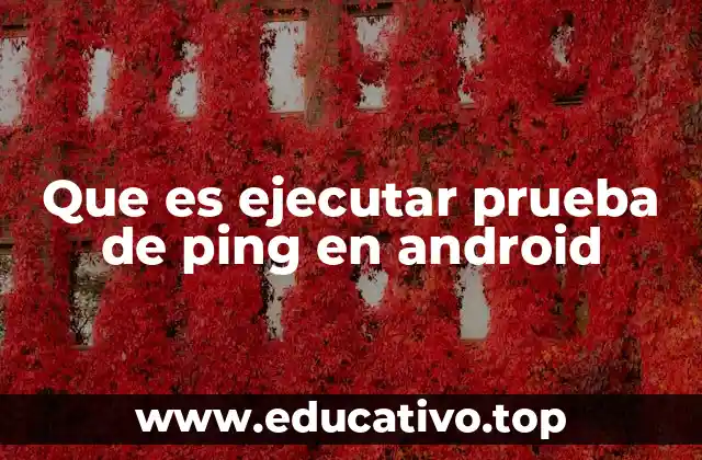 Que es ejecutar prueba de ping en android