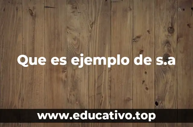 Que es ejemplo de s.a