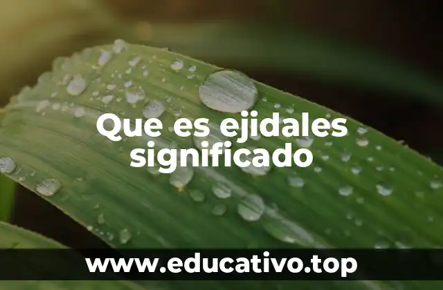 Que es ejidales significado