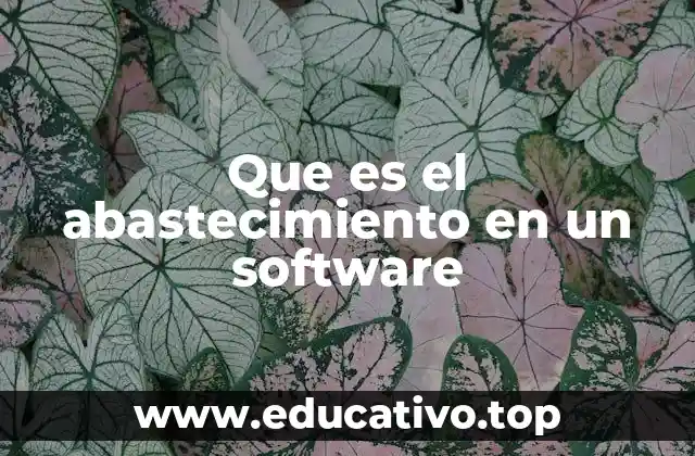 Que es el abastecimiento en un software