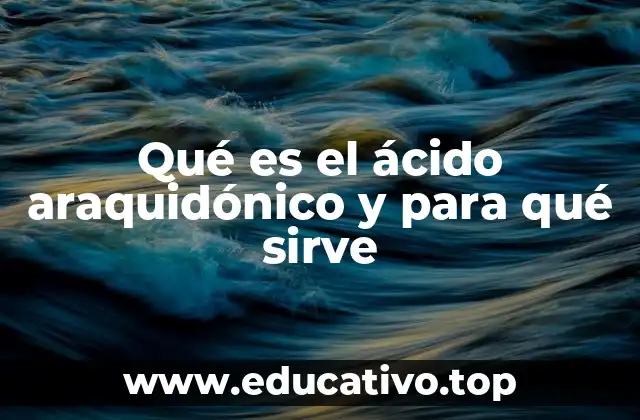 Qué es el ácido araquidónico y para qué sirve