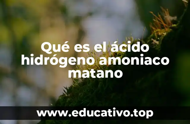 Qué es el ácido hidrógeno amoniaco matano