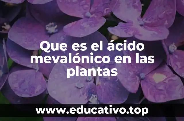 Que es el ácido mevalónico en las plantas