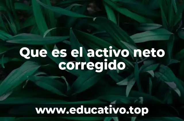 Que es el activo neto corregido