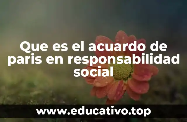 El impacto del Acuerdo de París en la responsabilidad social empresarial