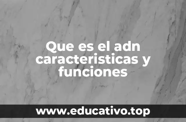 Que es el adn caracteristicas y funciones