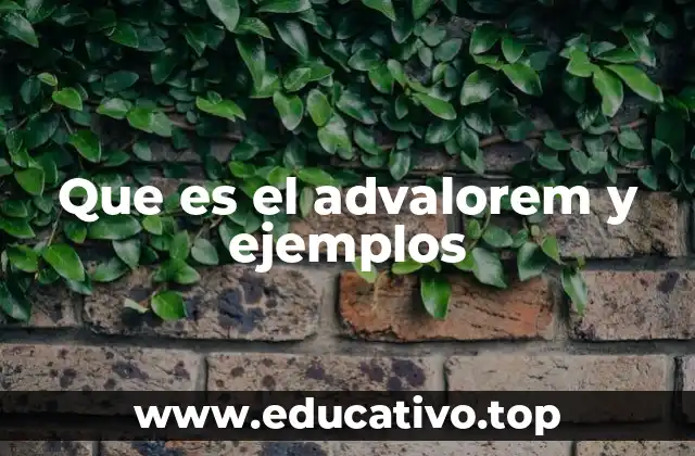 El advalorem en el contexto fiscal y comercial