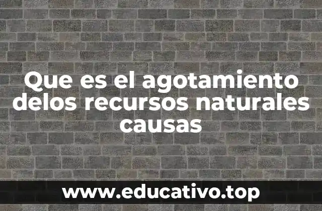 Que es el agotamiento delos recursos naturales causas