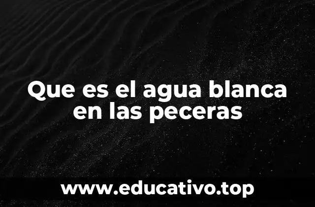 Que es el agua blanca en las peceras