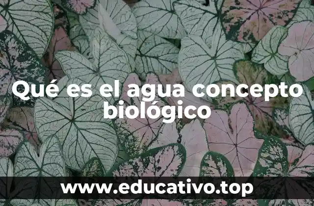 Qué es el agua concepto biológico