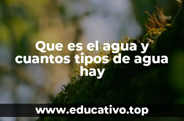 Que es el agua y cuantos tipos de agua hay