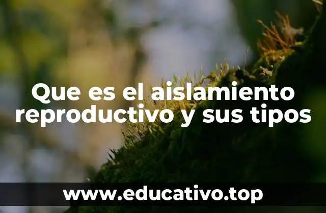 Que es el aislamiento reproductivo y sus tipos